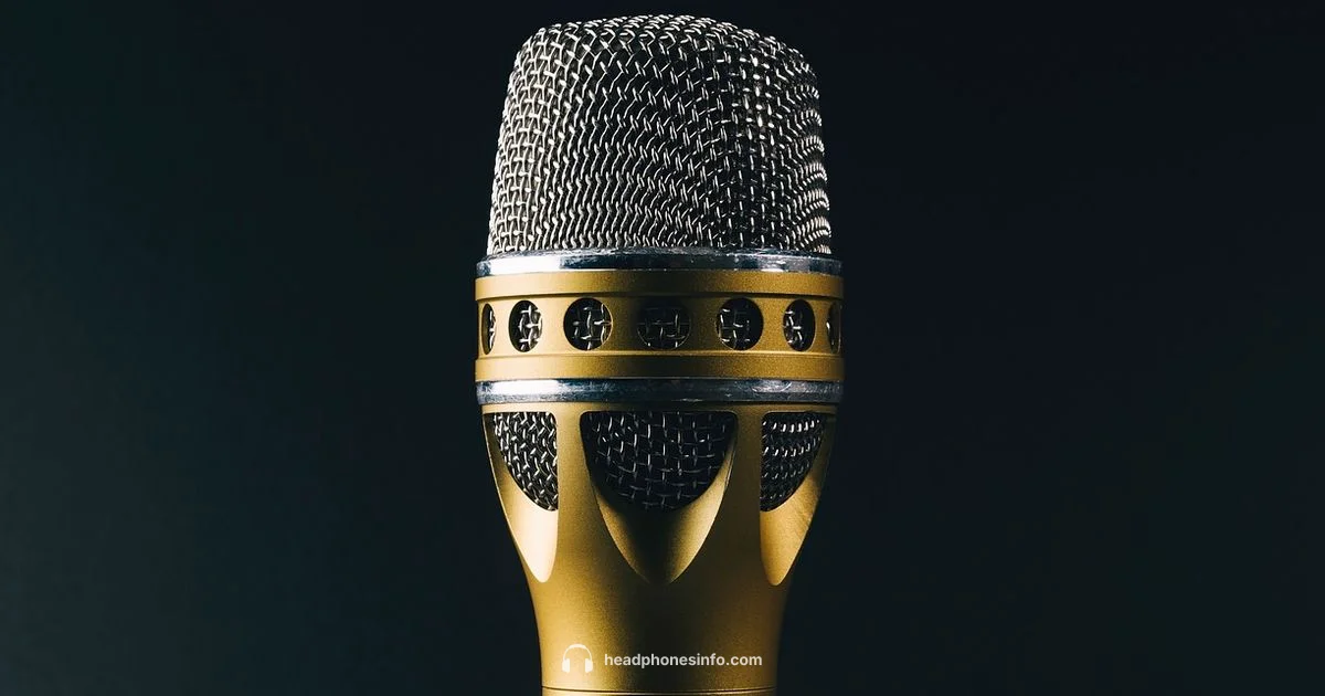 Earphones with Mic Guide - Headphones Info