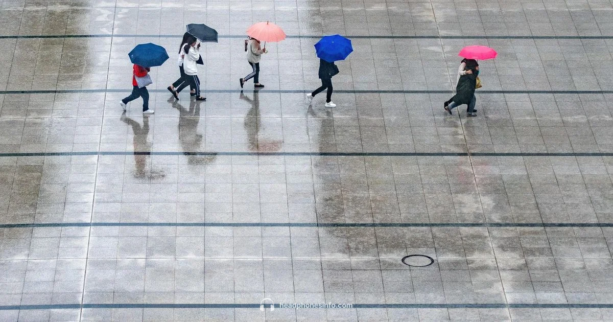 Drying Headphones Guide Drying Headphones Guide - Headphones Info