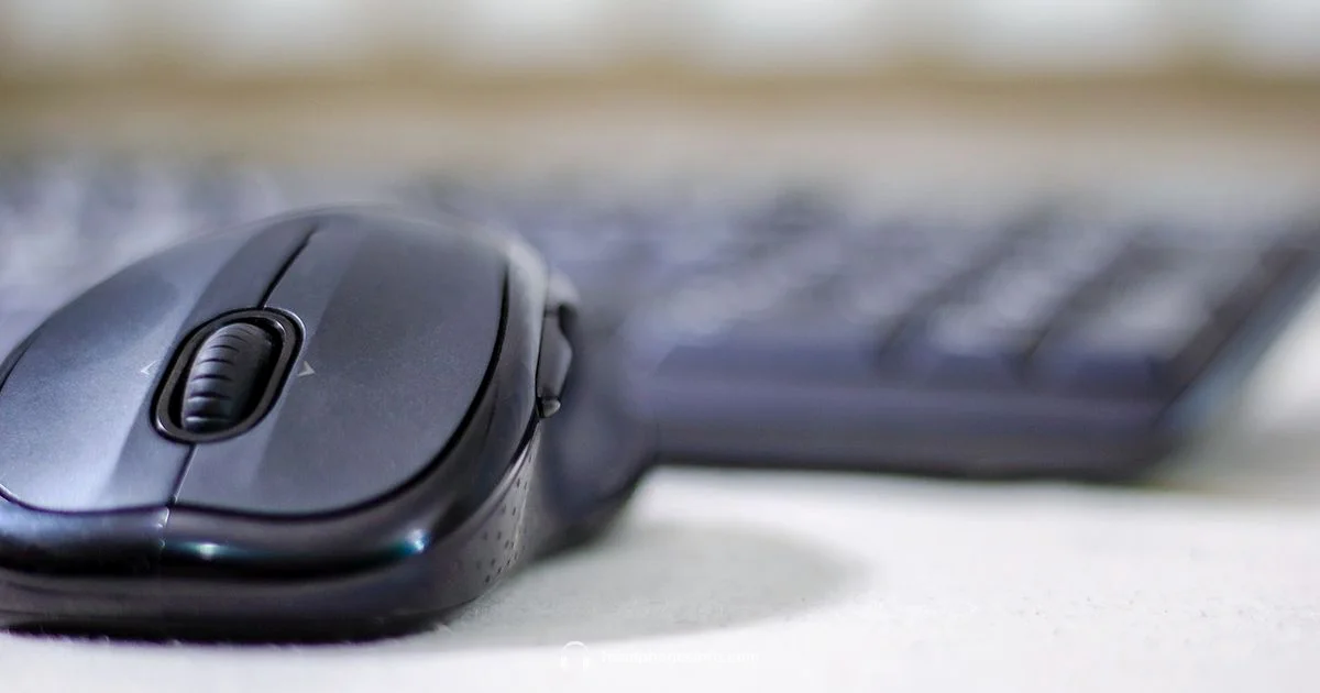 Wireless vs Wired - Headphones Info