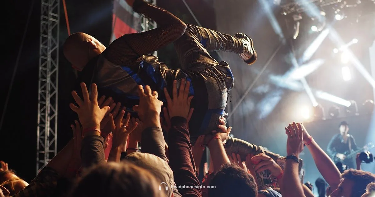 Concert Headphones Guide Concert Headphones Guide - Headphones Info