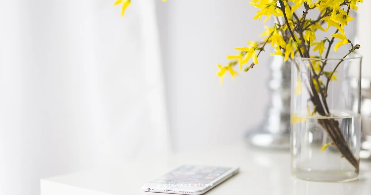 iPhone 14 Headphones - Headphones Info