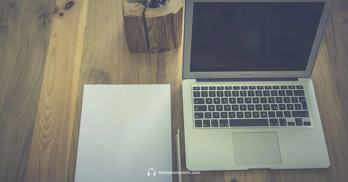 Porta Pro Vibe - Headphones Info