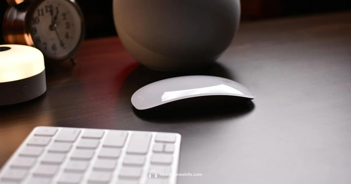 Bose Wireless Guide - Headphones Info