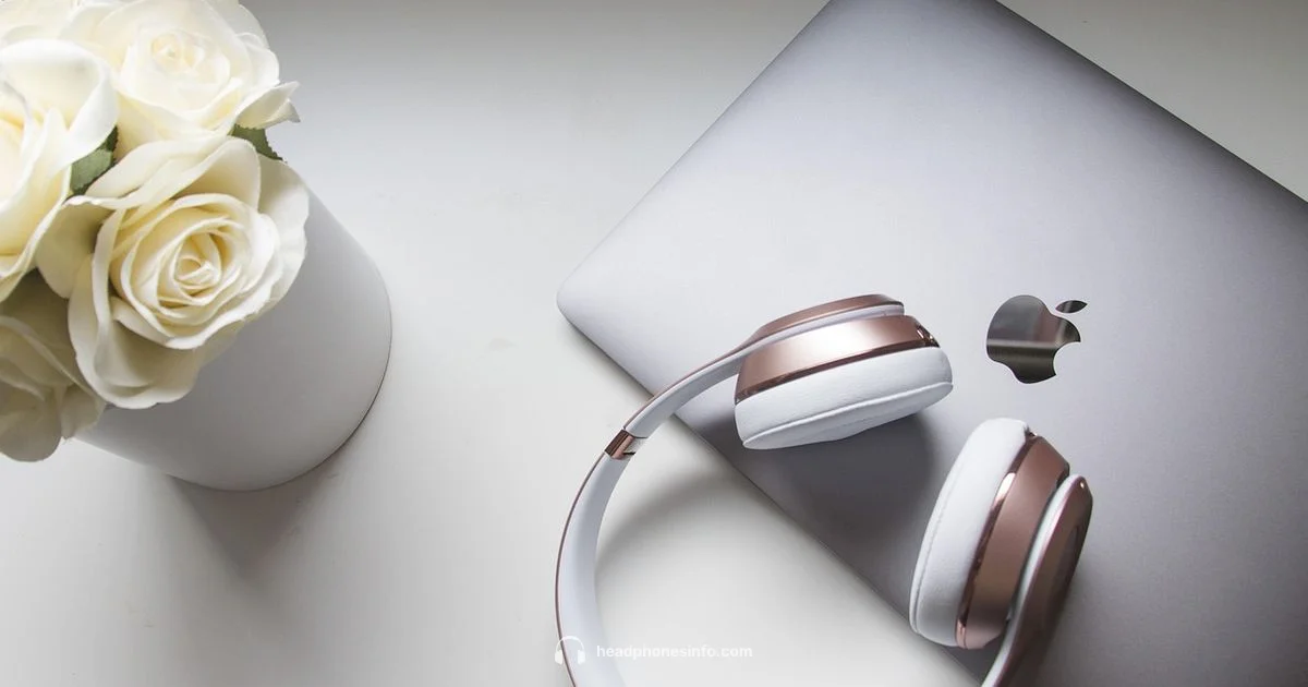 Apple Headphone Makers Apple Headphone Makers - Headphones Info