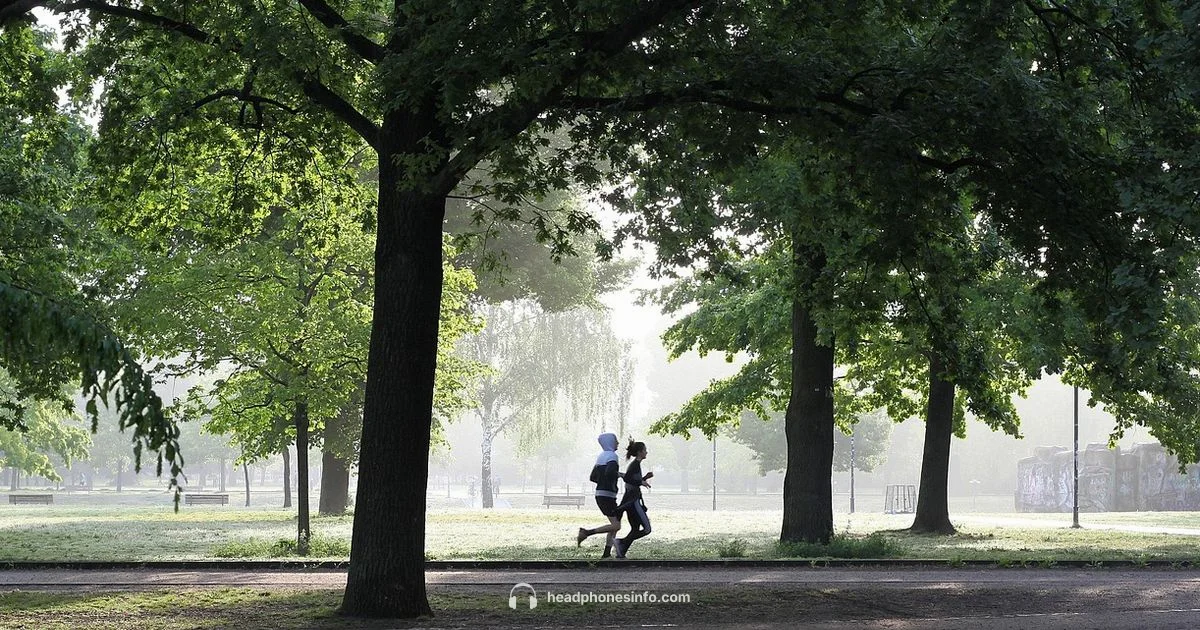 Headphones on Run Headphones on Run - Headphones Info