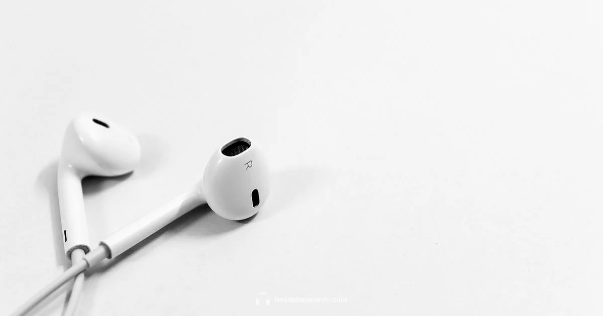 Wired Headphones Wired Headphones - Headphones Info