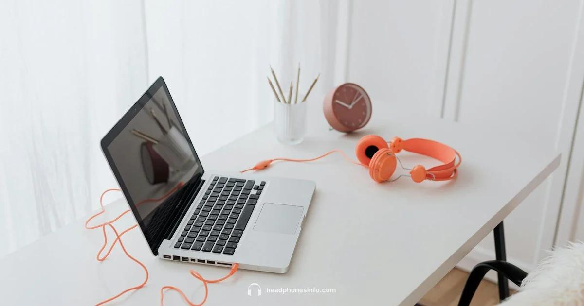 Wired Headphones Guide Wired Headphones Guide - Headphones Info