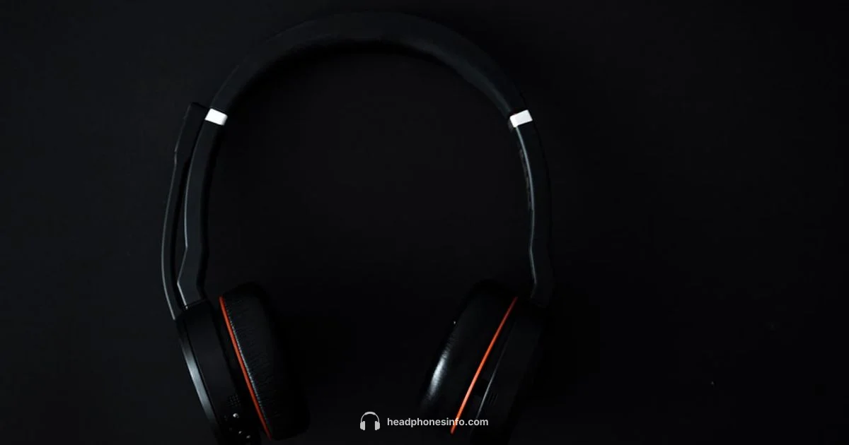 XB910N Review Guide - Headphones Info
