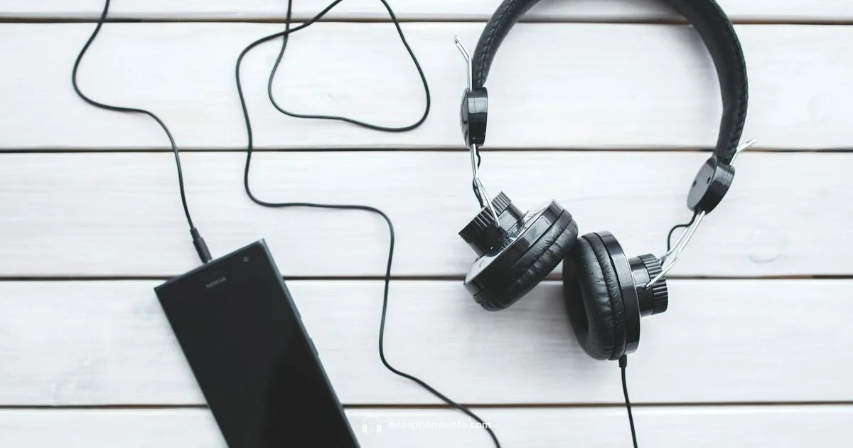 Tinnitus & Bone Conduction - Headphones Info