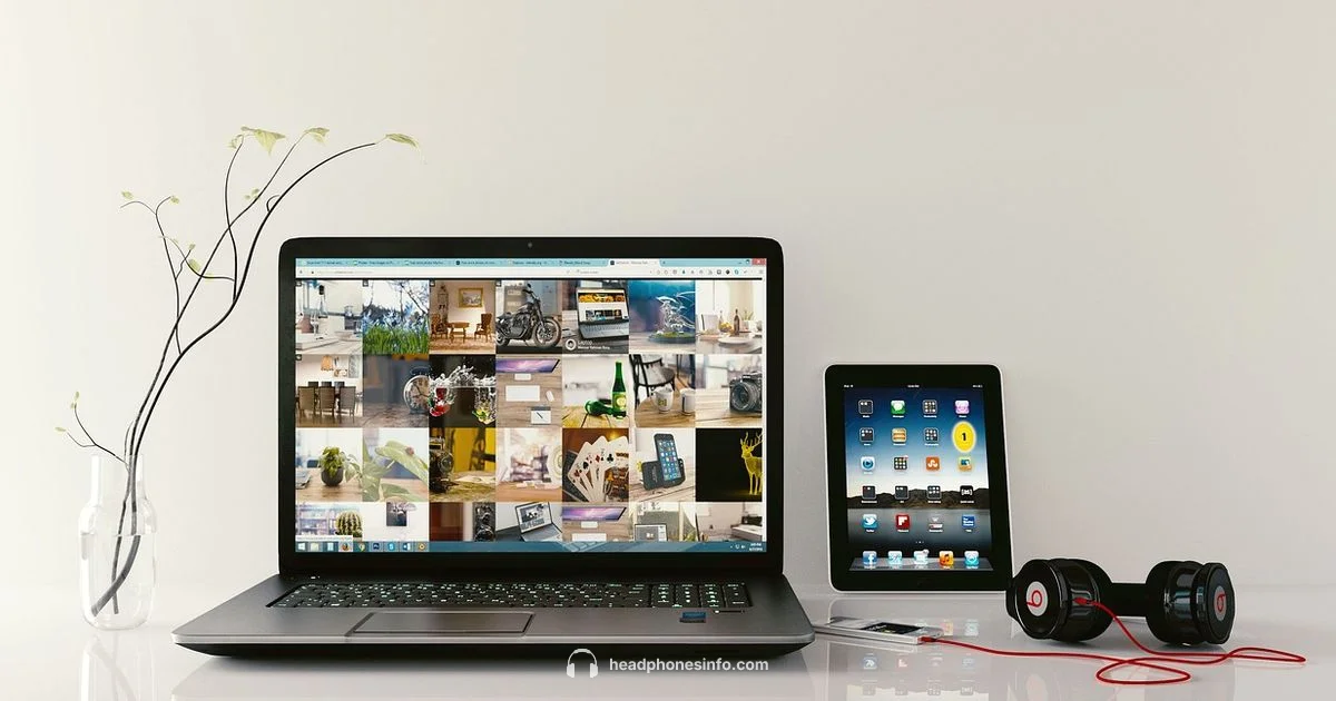 Headphone Safety Headphone Safety - Headphones Info