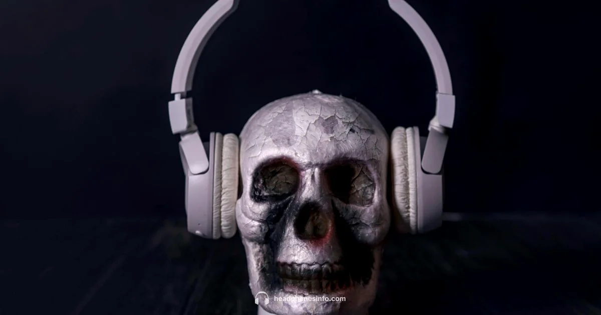 Shokz Setup Guide - Headphones Info