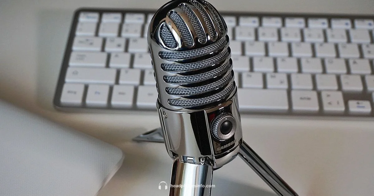 Mic Headphones Guide - Headphones Info