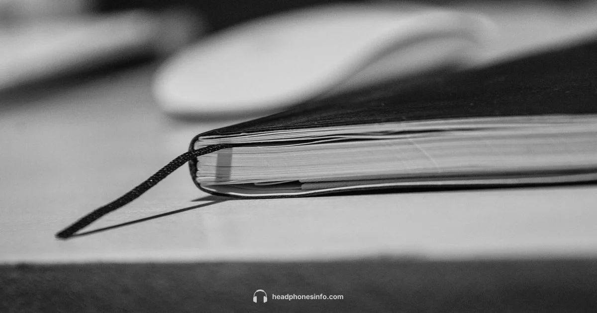 Bose Headphones Spotlight - Headphones Info