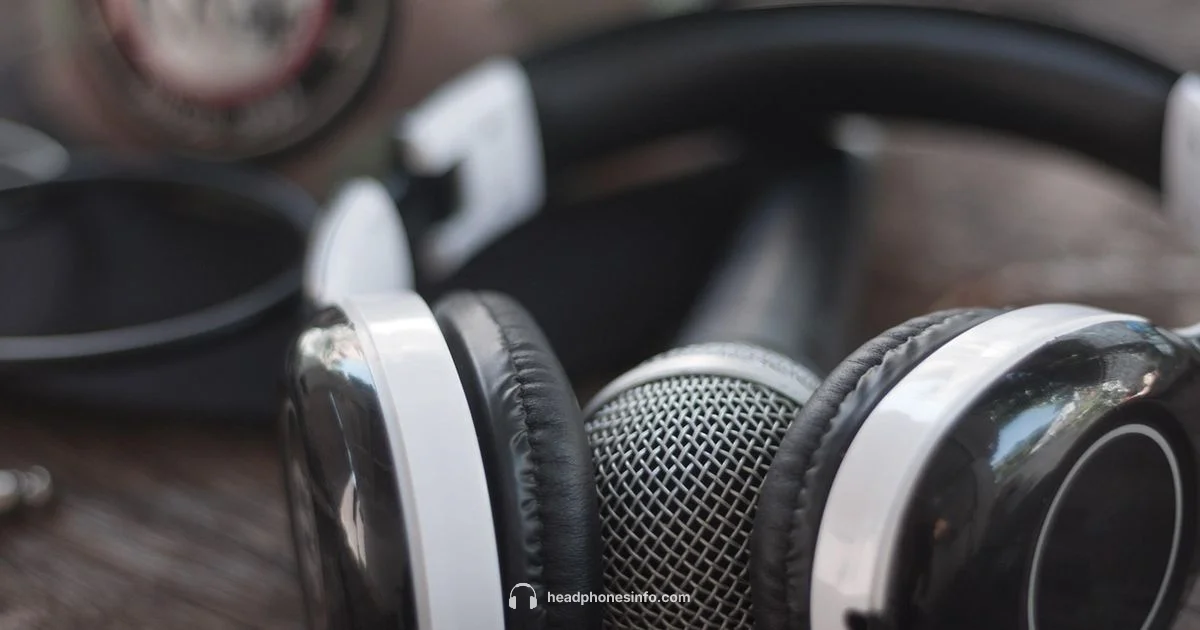 PC Headset + Mic - Headphones Info