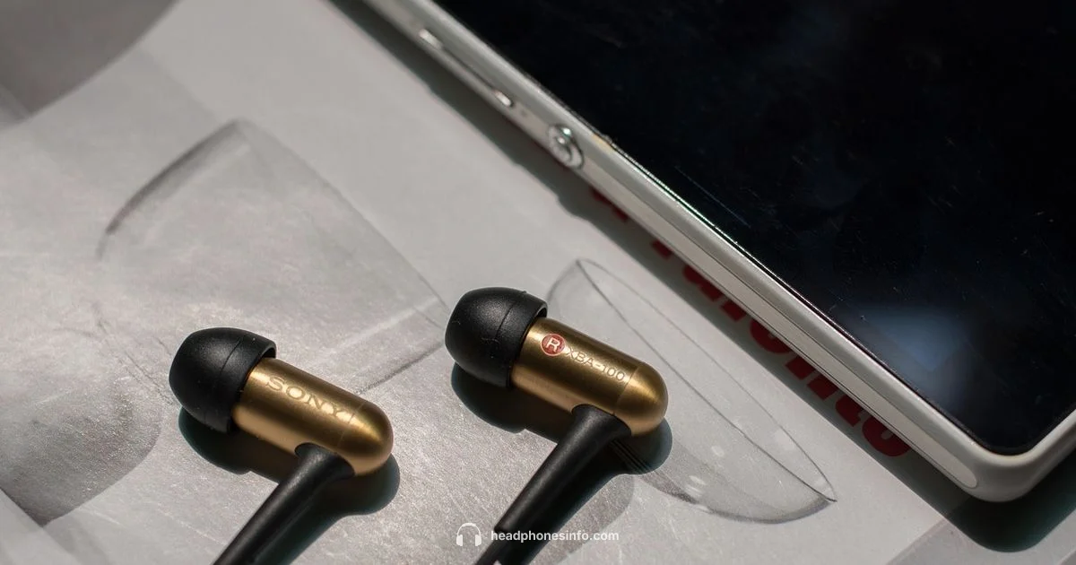 Authentic Sony Headphones - Headphones Info