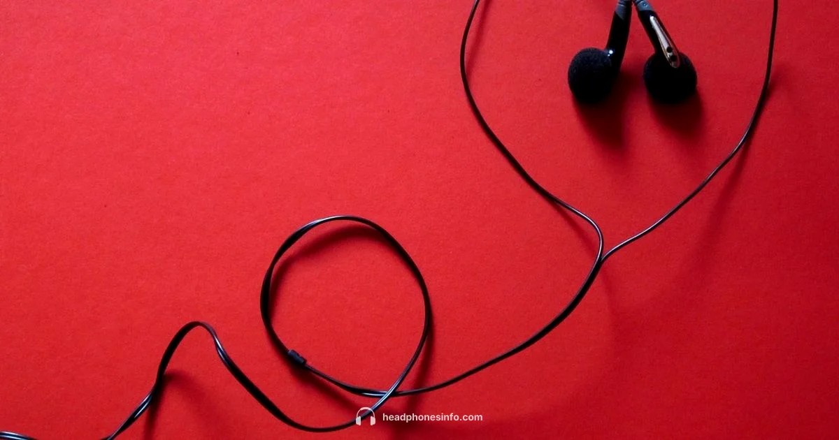 ipod headphones guide - Headphones Info