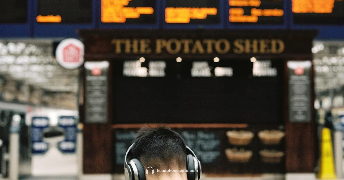 Headphones & TSA - Headphones Info