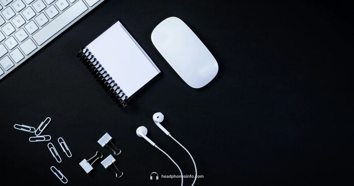 Skullcandy Wired Review - Headphones Info