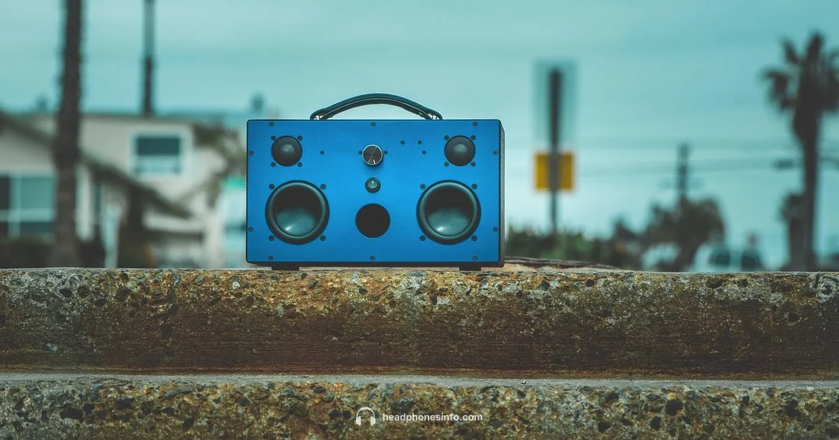 JLab BT Headphones - Headphones Info