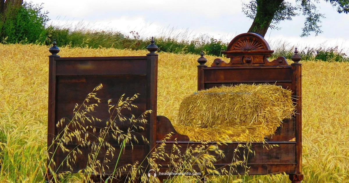 Sleep Headphones - Headphones Info