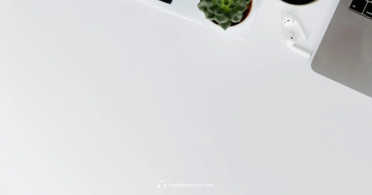 Premium Wireless Headphones - Headphones Info