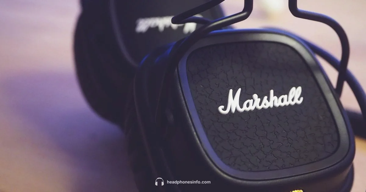 Electromagnet Headphone Driver - Headphones Info