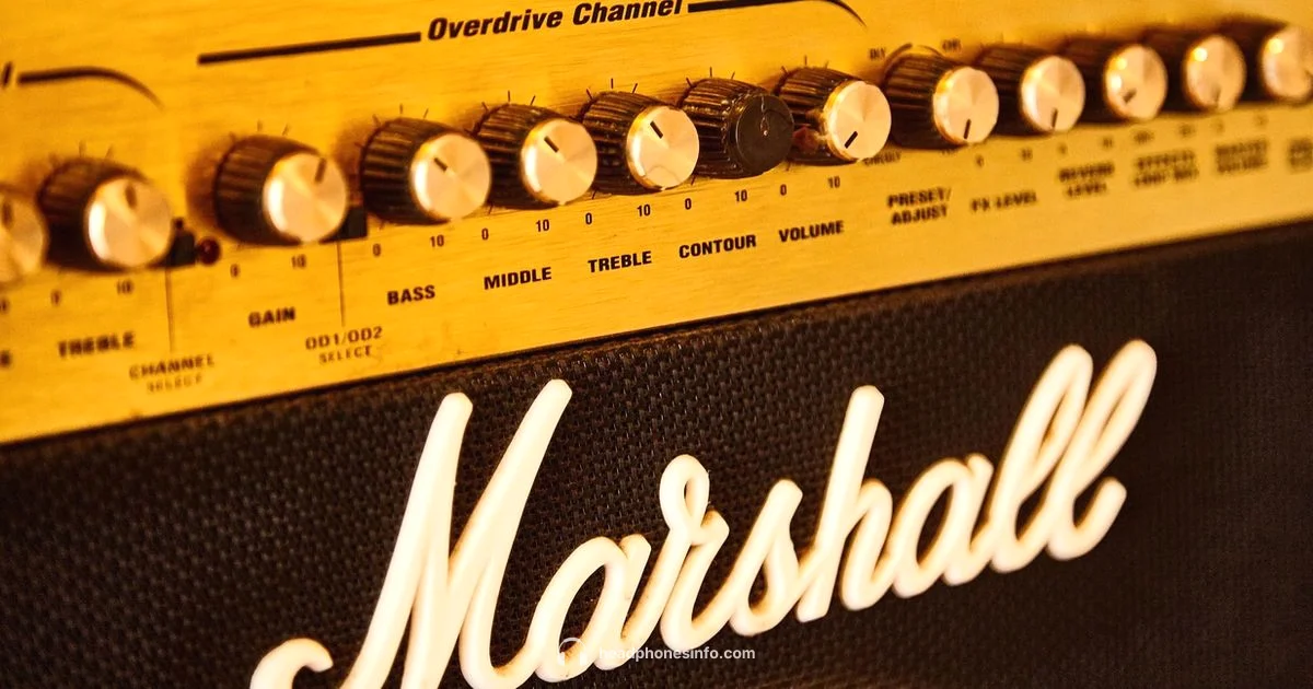 Waterproof Reality Check Waterproof Reality Check - Headphones Info