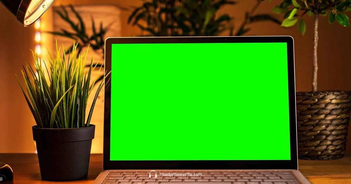 Gaming Audio Showdown - Headphones Info