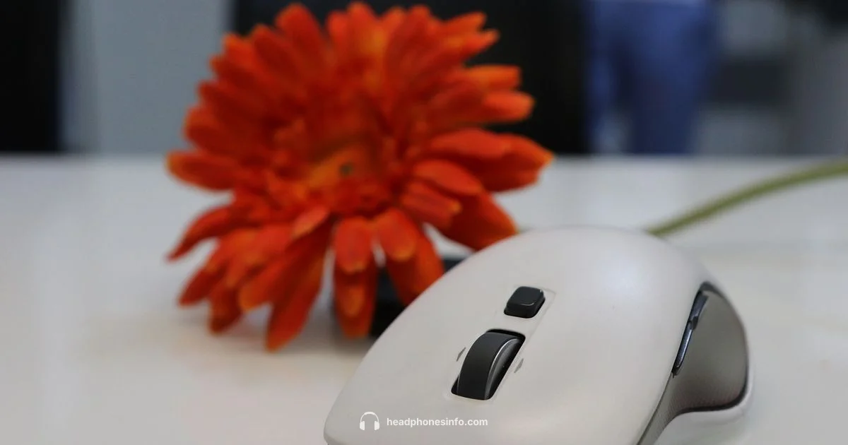 Work Audio Setup Work Audio Setup - Headphones Info