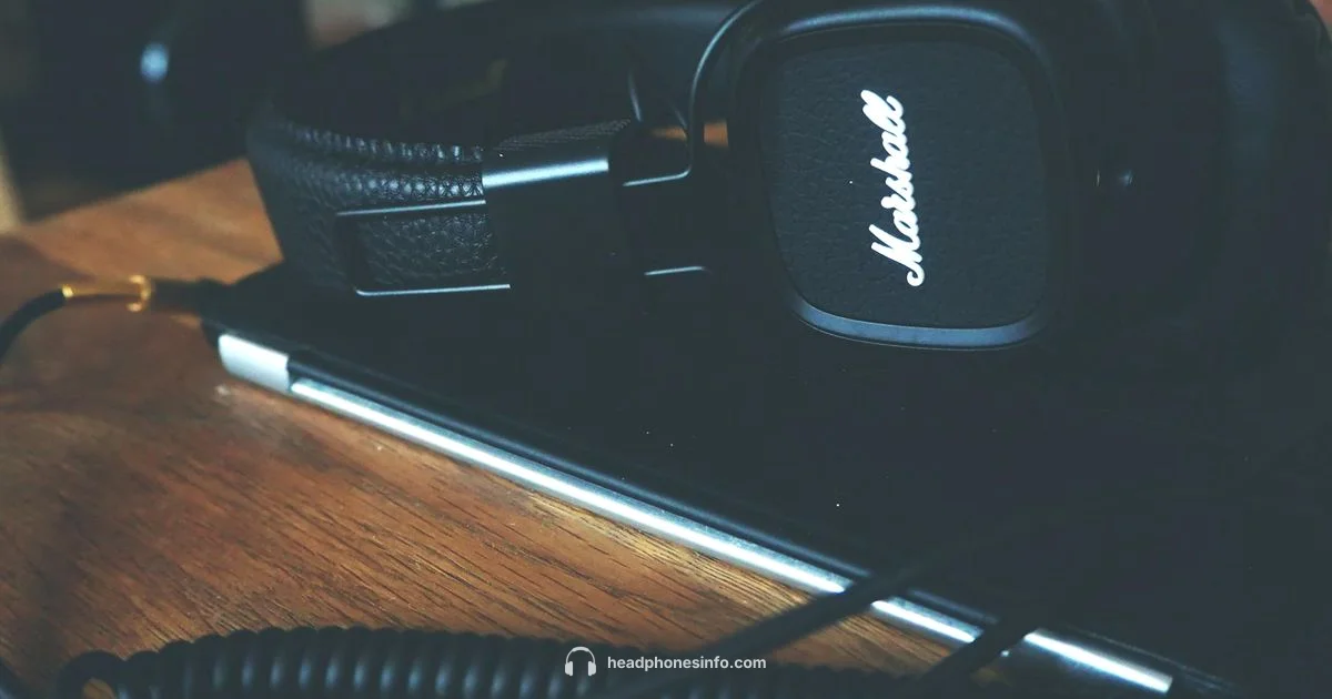 Apple Air Max Headphones Apple Air Max Headphones - Headphones Info