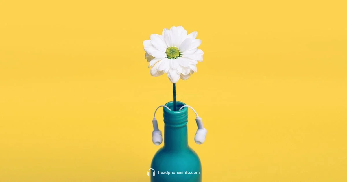 Headphones Materials - Headphones Info