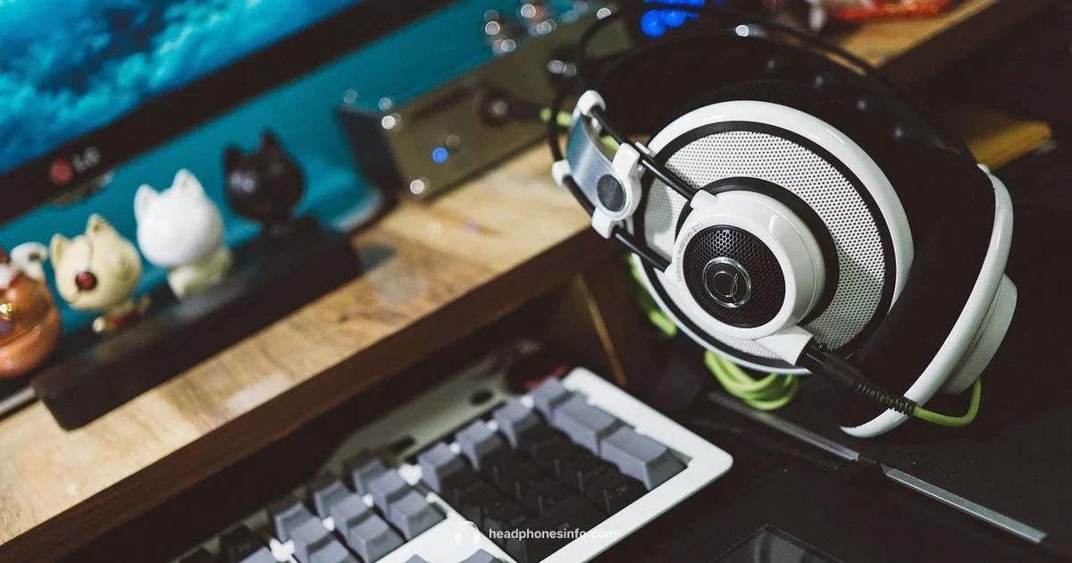 Tracking Privacy - Headphones Info