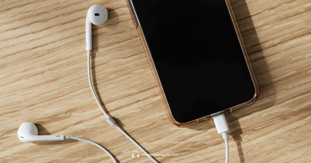 JVC Earbuds Review - Headphones Info