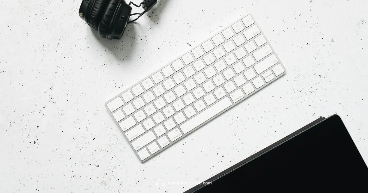 Budget Headphones - Headphones Info