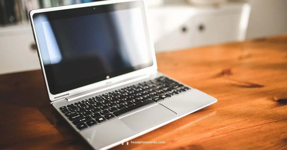 Sony Headphones Fix - Headphones Info