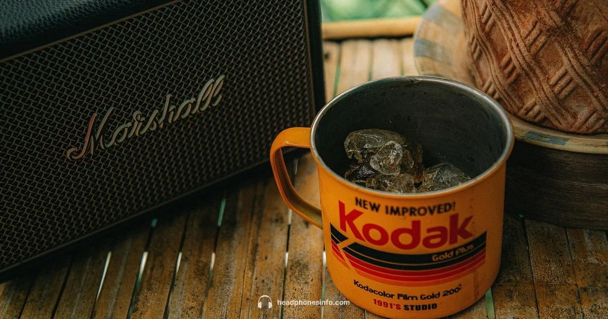 Marshall Headphones Overview - Headphones Info