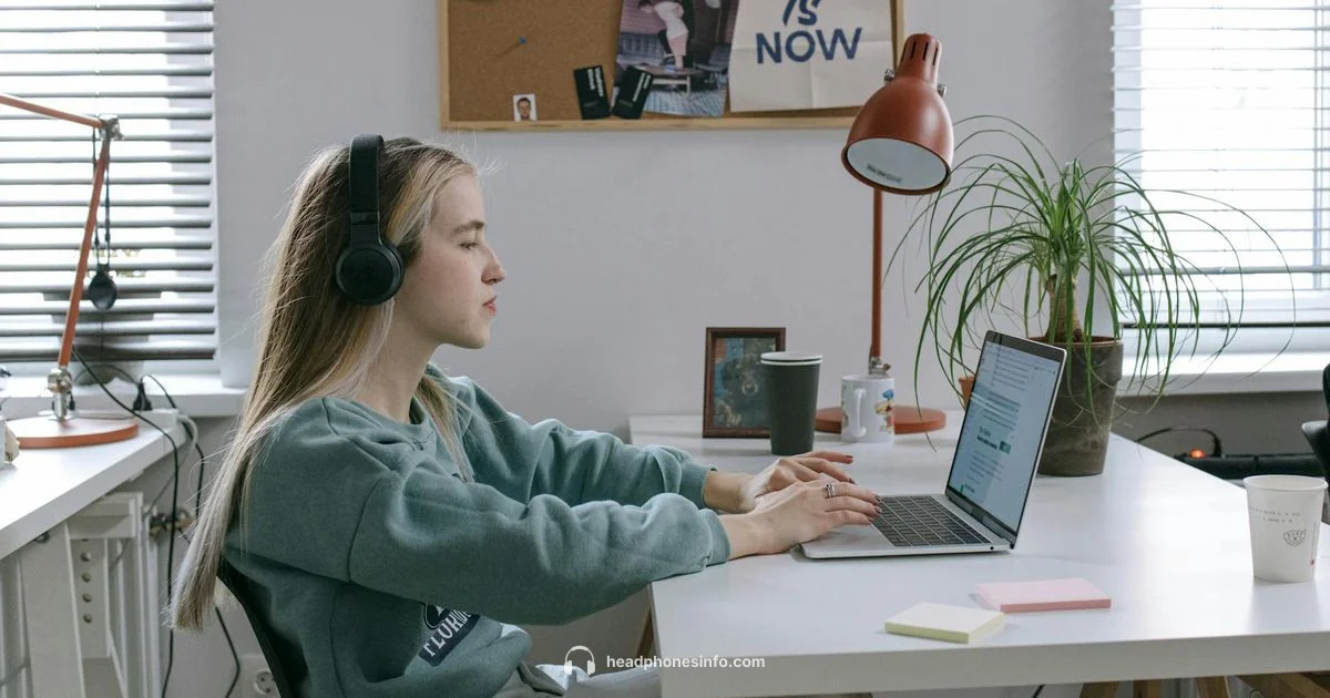 Premium ANC Headphones - Headphones Info