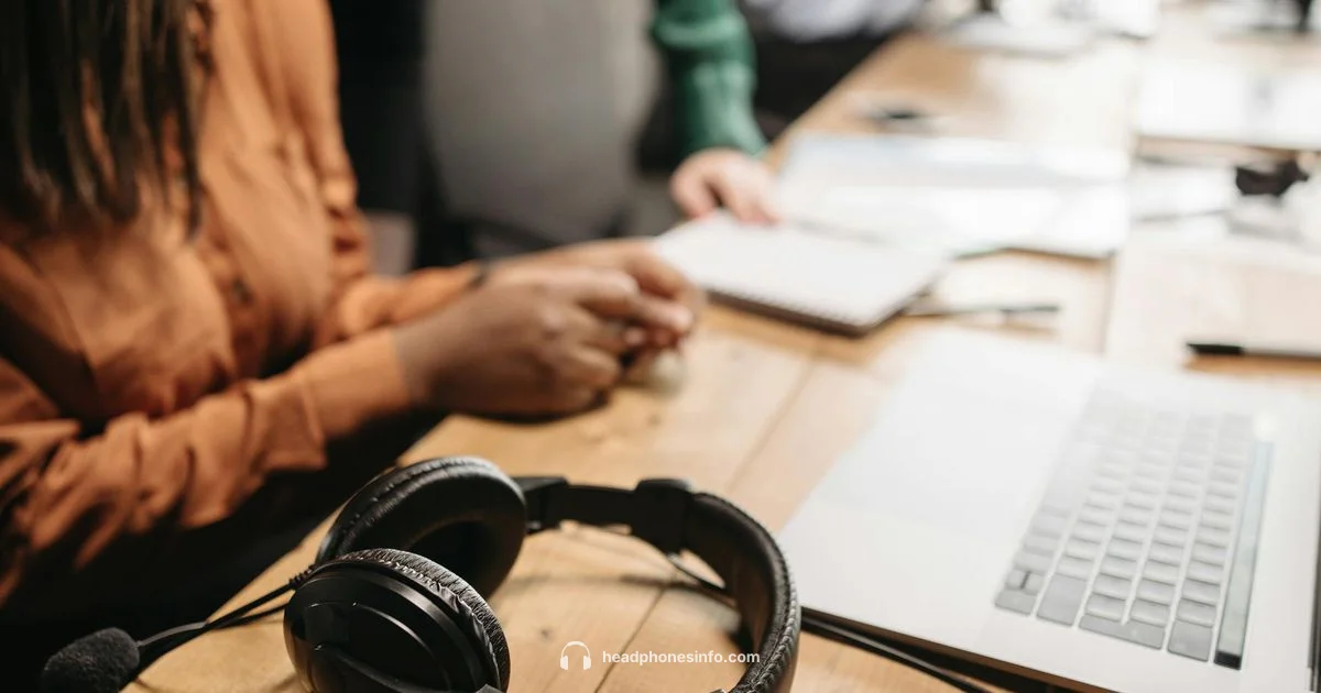 Open Back Headphones - Headphones Info