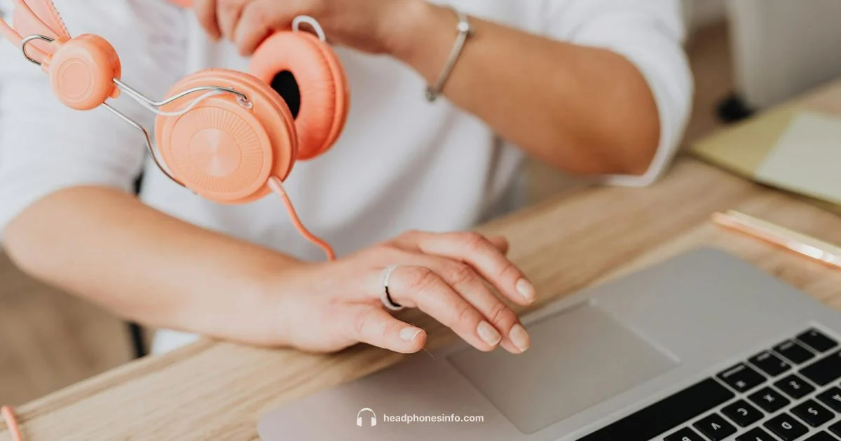 Type C Wired Guide - Headphones Info