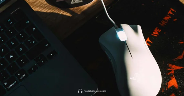 Sony ZX110 Budget Review - Headphones Info