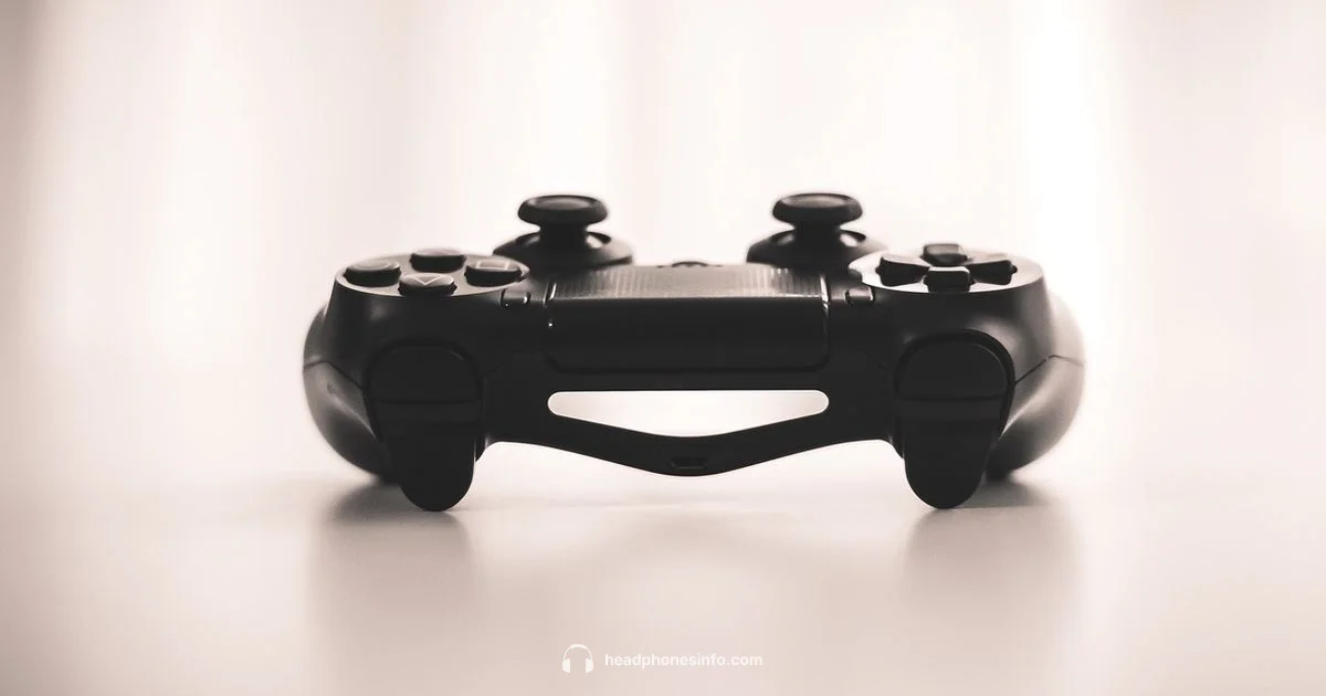 Headphones + PS4 Setup - Headphones Info