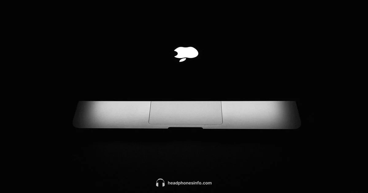 ANC Headphones - Headphones Info