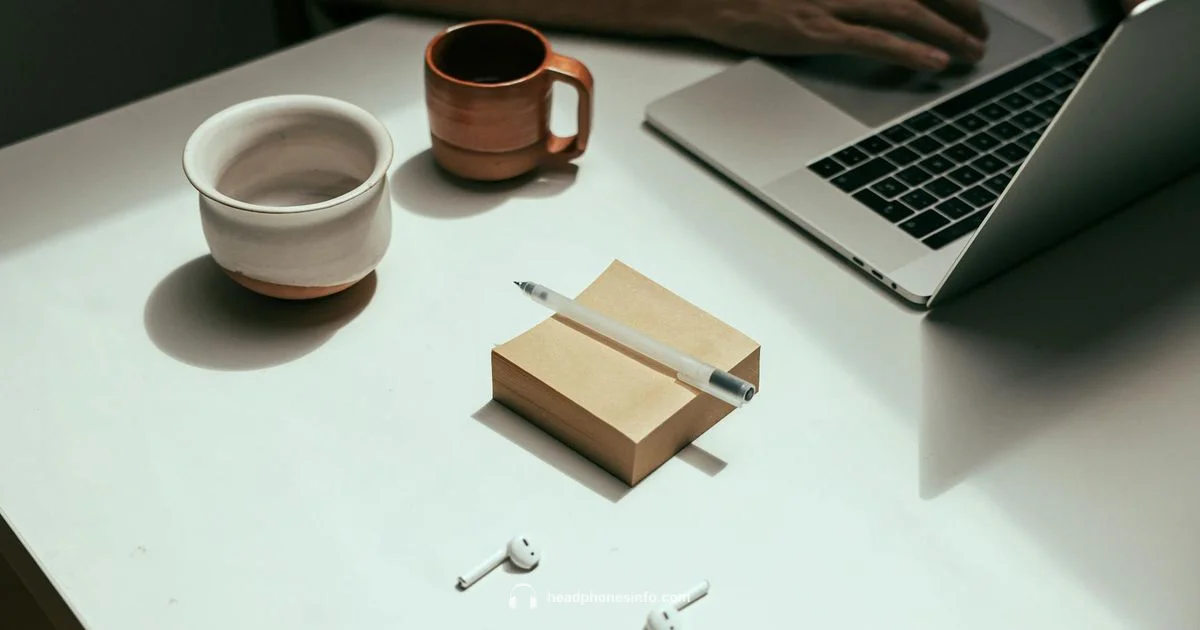 Premium Wireless Headphones - Headphones Info