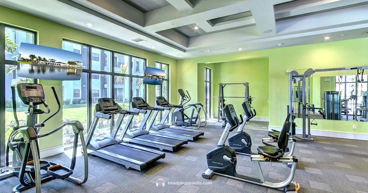 Wireless Gym Headphones - Headphones Info