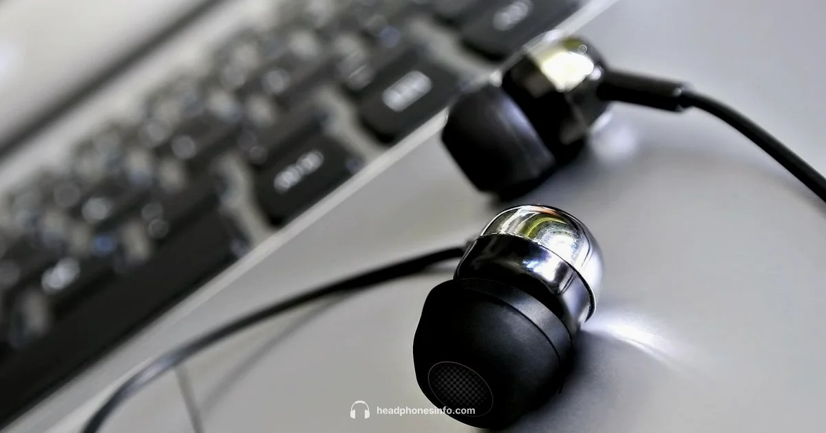 Dual Headphone Setup - Headphones Info