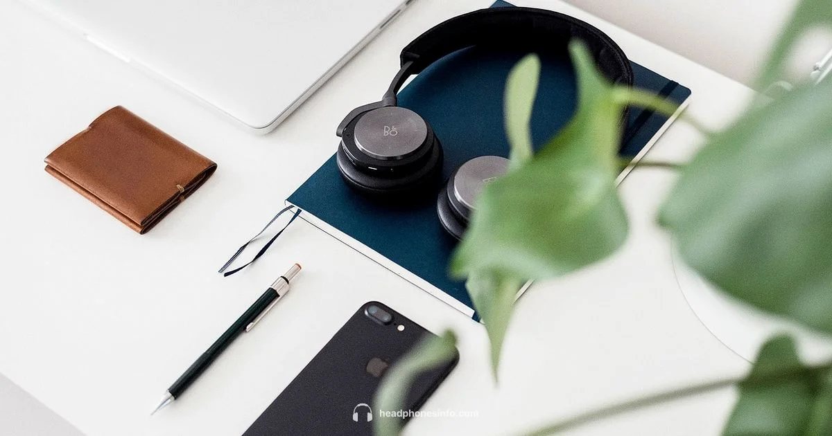 Apple Headphones Check - Headphones Info