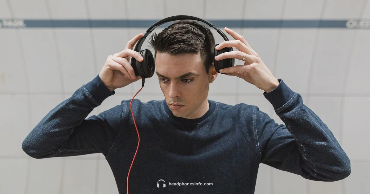 Open-Back Clarity - Headphones Info