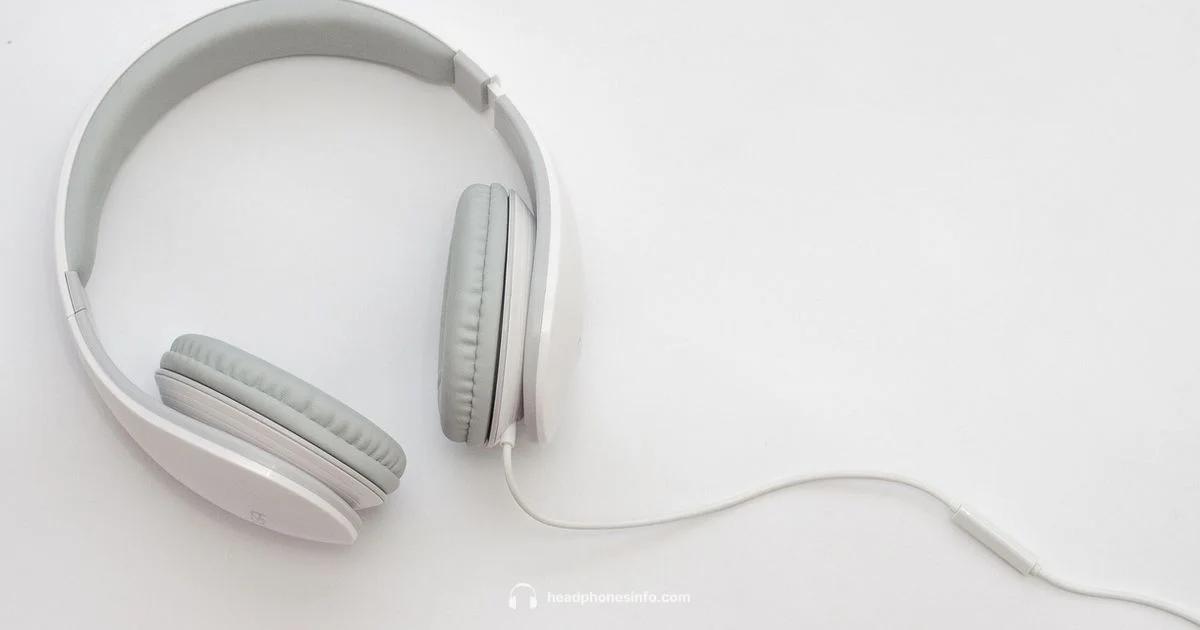 Audiophile Wireless Picks - Headphones Info